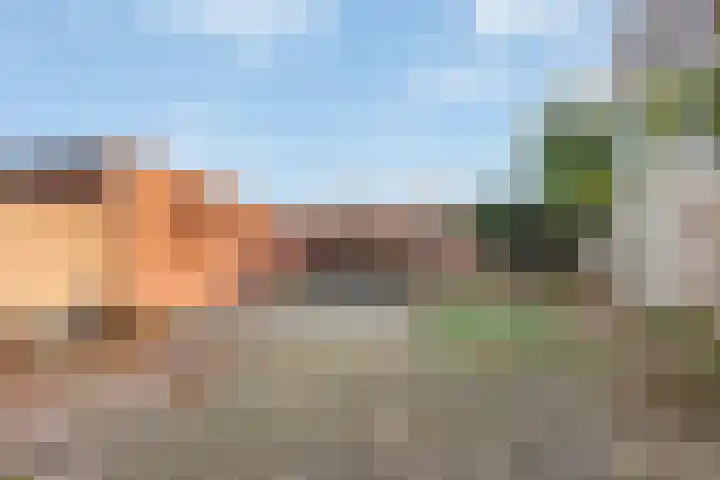 Zonnebloemstraat 28 Almelo thumbnail 19