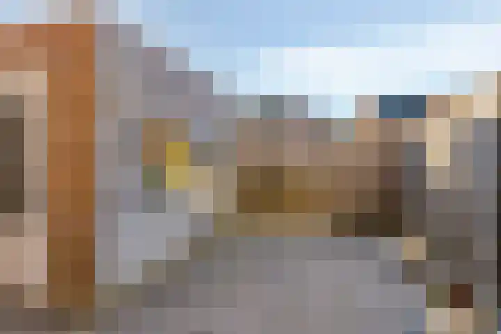 Zonnebloemstraat 28 Goor thumbnail 24