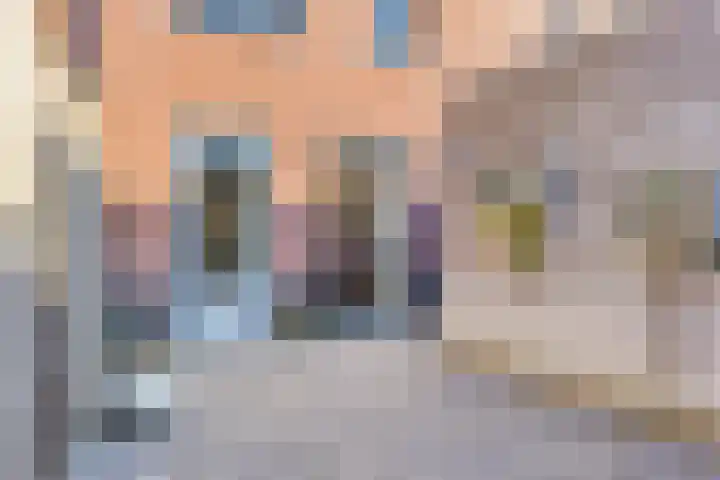 Zonnebloemstraat 28 Goor thumbnail 26