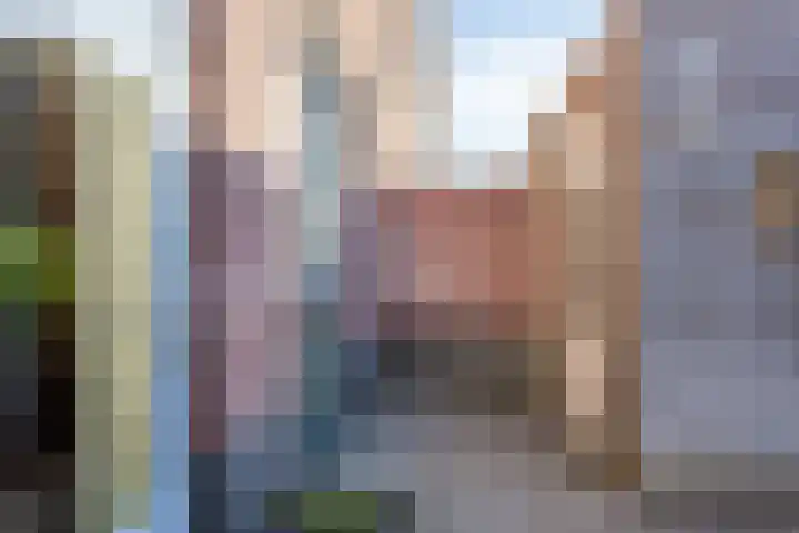Zonnebloemstraat 28 Goor thumbnail 28