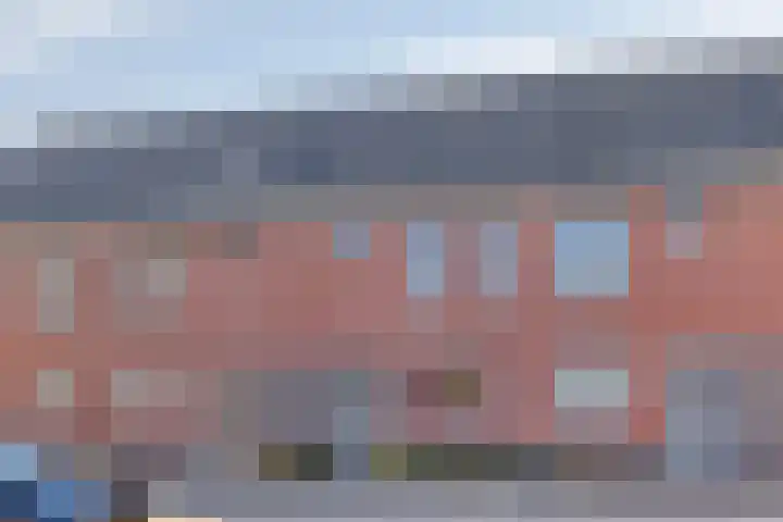 Zonnebloemstraat 28 Goor thumbnail 29