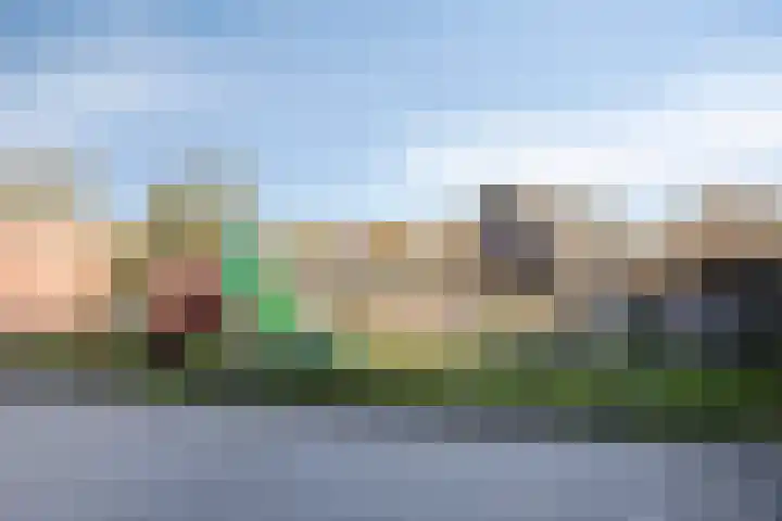 Zonnebloemstraat 28 Goor thumbnail 31