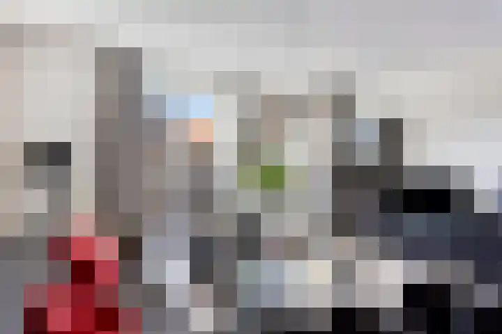 Zonnebloemstraat 28 Goor thumbnail 6