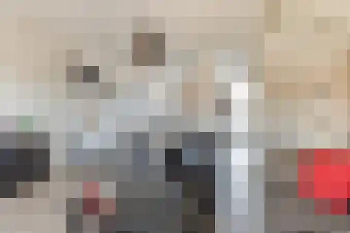 Zonnebloemstraat 28 Goor thumbnail 8