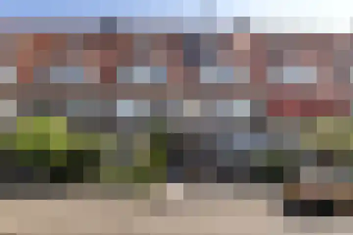 Zonnebloemstraat 29 B Rotterdam thumbnail 29