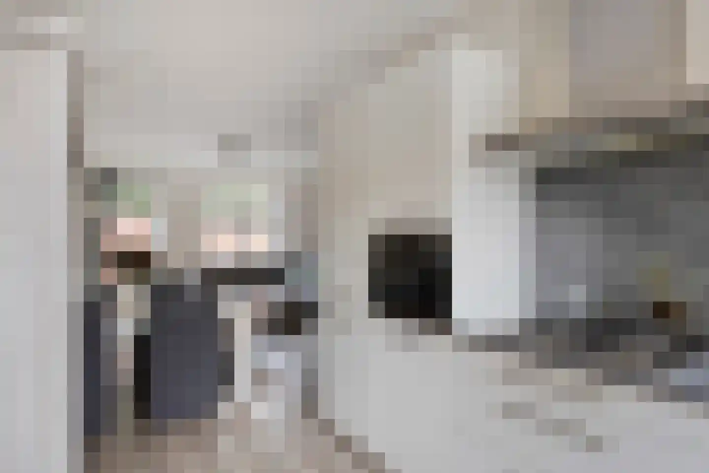 Zonnebloemstraat 29 Goor thumbnail 13