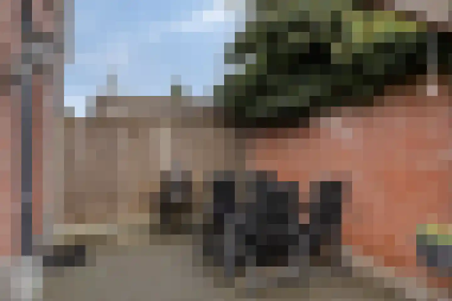 Zonnebloemstraat 29 Goor thumbnail 24