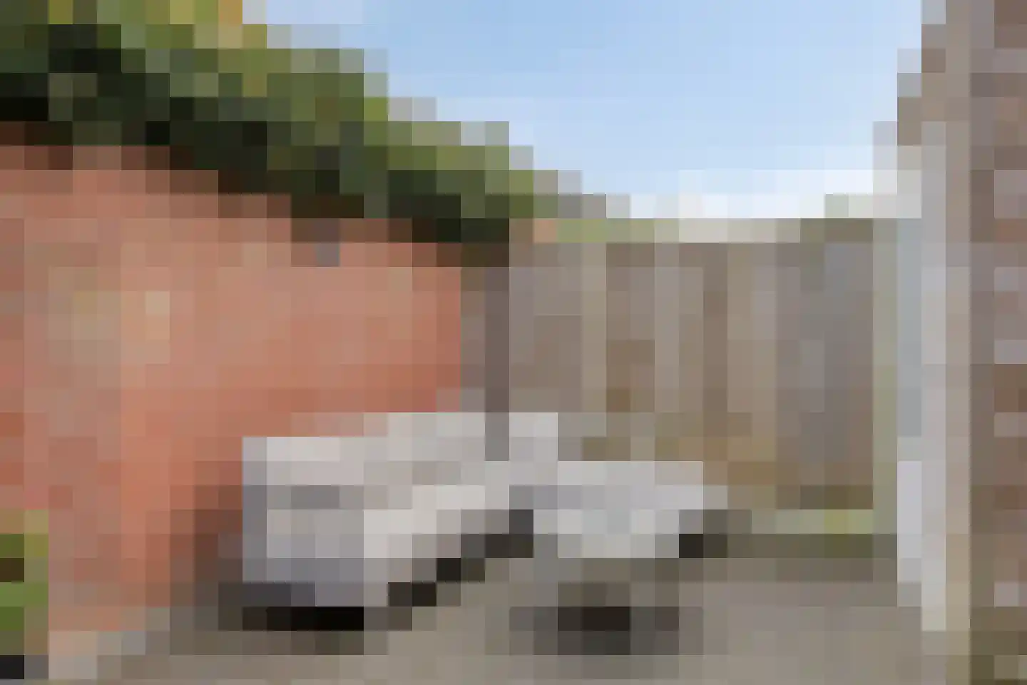 Zonnebloemstraat 29 Goor thumbnail 25