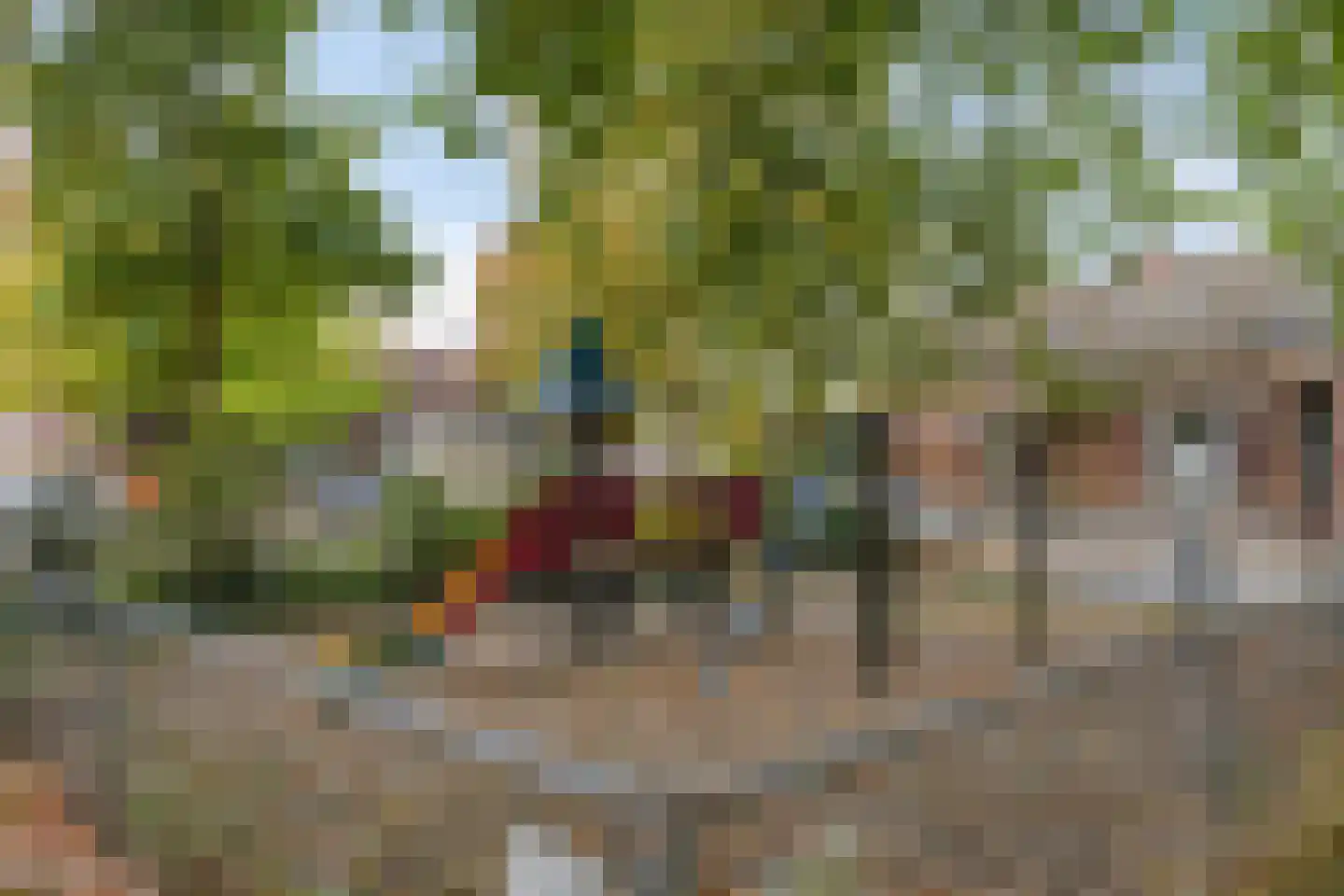 Zonnebloemstraat 29 Goor thumbnail 31