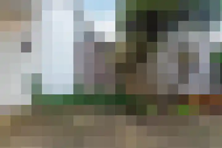 Zonnebloemstraat 3 Den Haag thumbnail 20