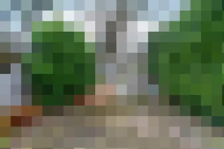 Zonnebloemstraat 3 Den Haag thumbnail 21