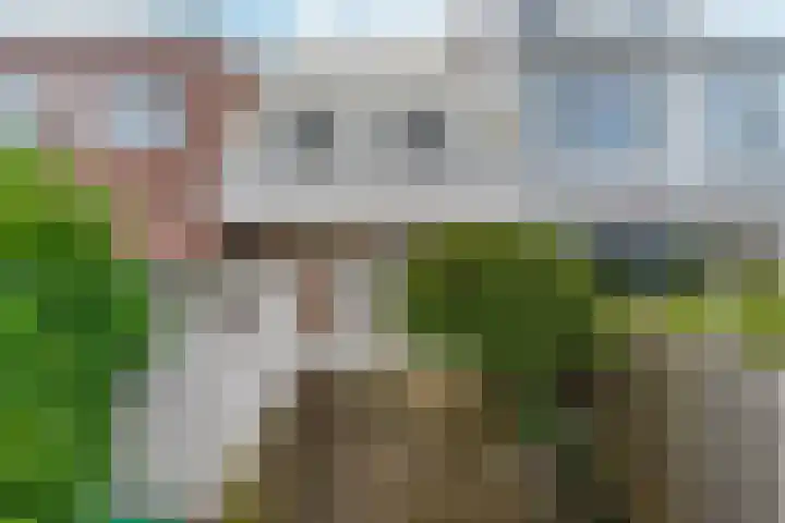 Zonnebloemstraat 3 Den Haag thumbnail 22