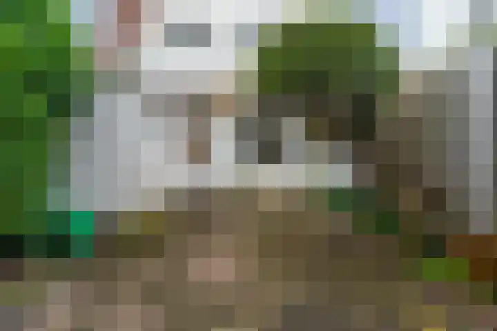 Zonnebloemstraat 3 Den Haag thumbnail 23