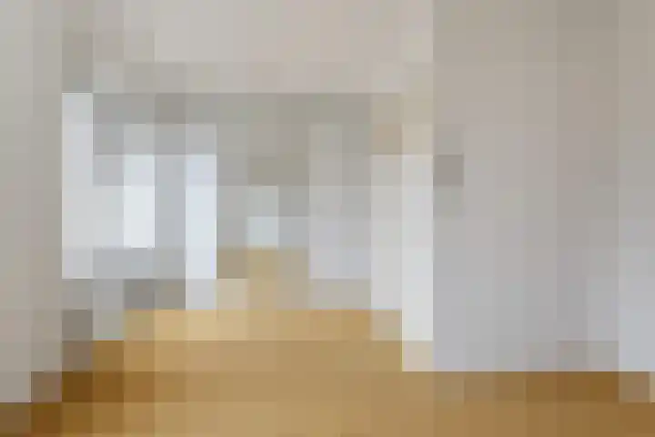 Zonnebloemstraat 3 Den Haag thumbnail 35