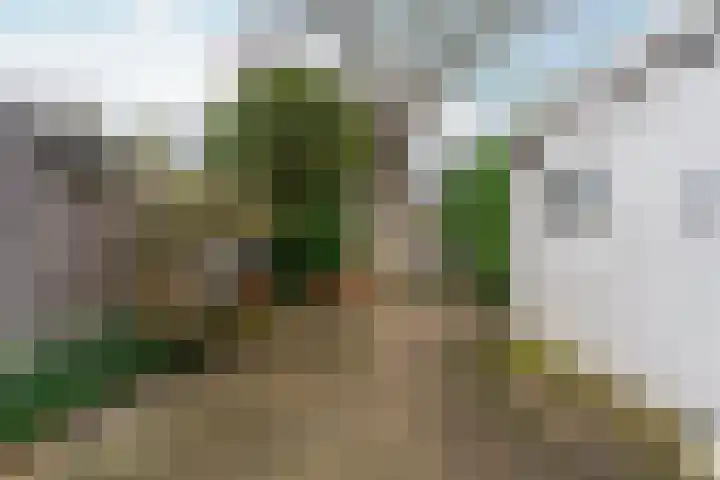 Zonnebloemstraat 3 Den Haag thumbnail 5