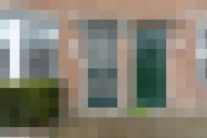Zonnebloemstraat 3 Den Haag thumbnail 8