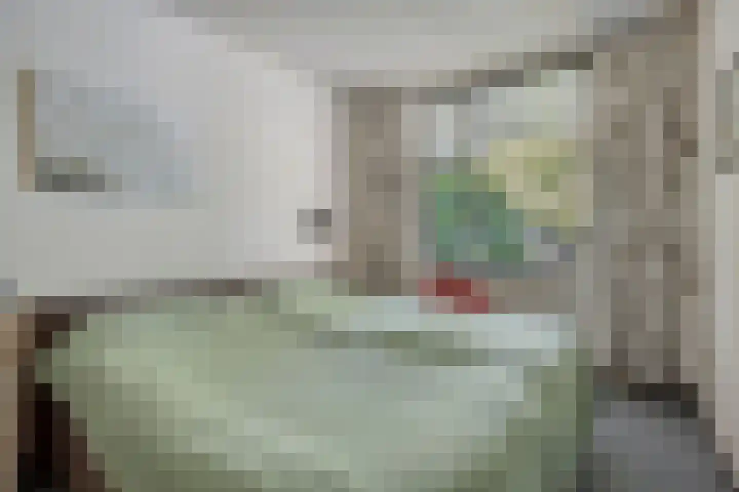 Zonnebloemstraat 31 Oss thumbnail 10