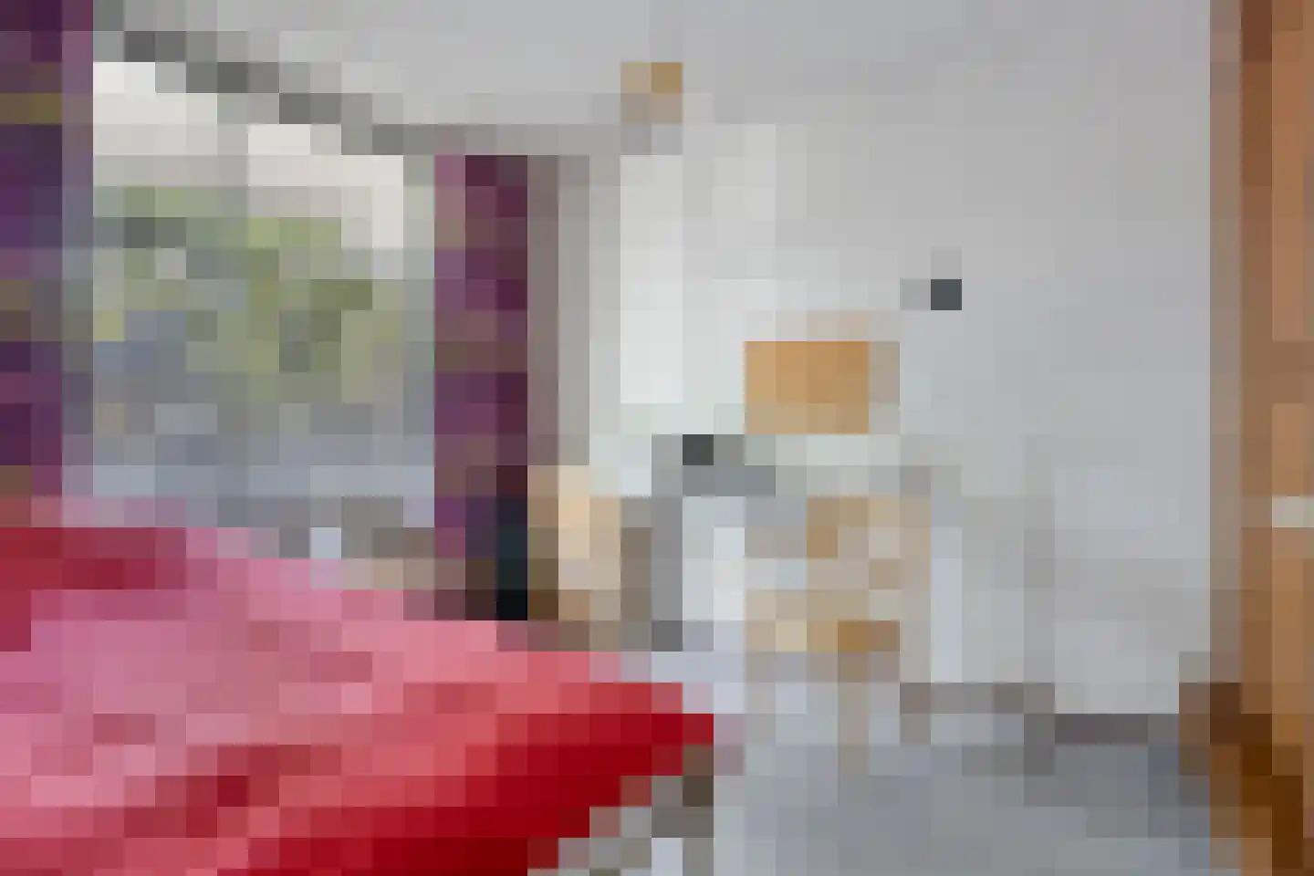 Zonnebloemstraat 31 Oss thumbnail 14