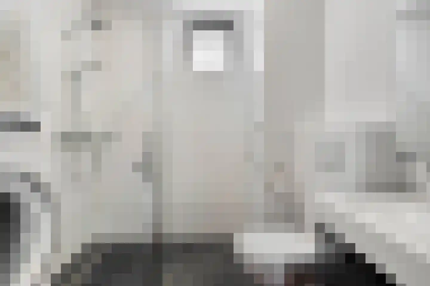 Zonnebloemstraat 31 Oss thumbnail 16