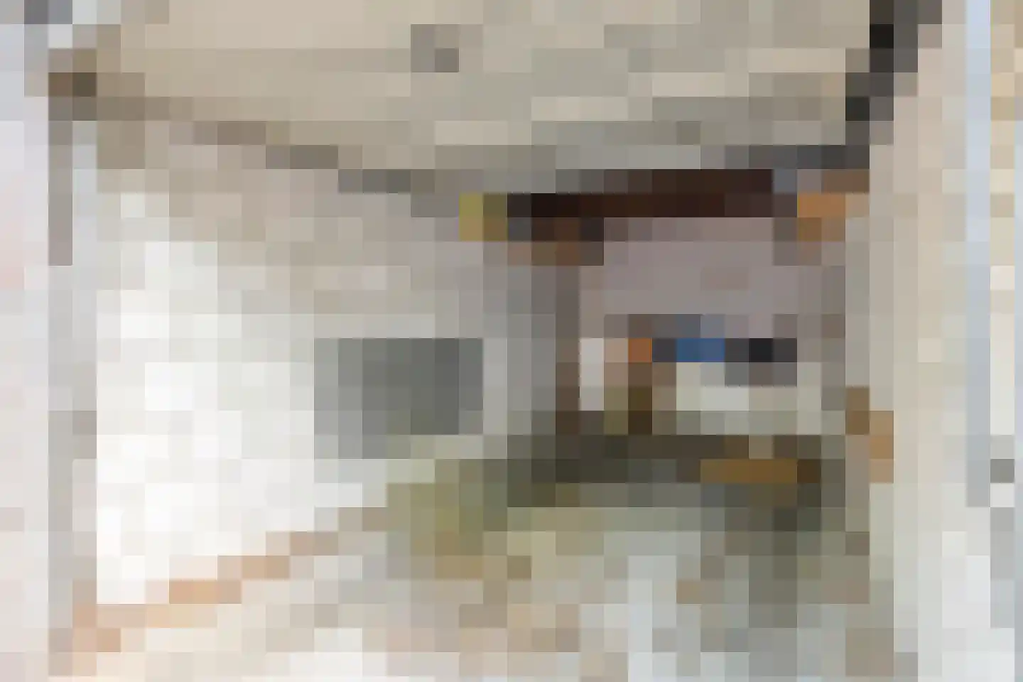 Zonnebloemstraat 31 Oss thumbnail 17