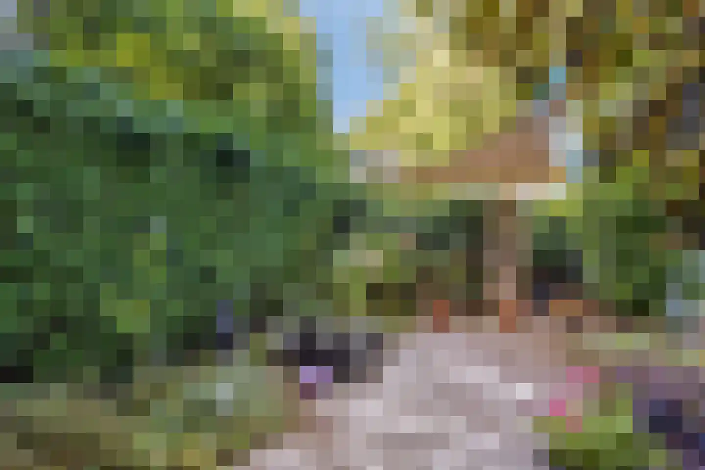 Zonnebloemstraat 31 Oss thumbnail 20