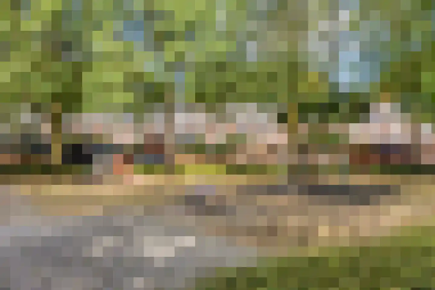 Zonnebloemstraat 31 Oss thumbnail 24