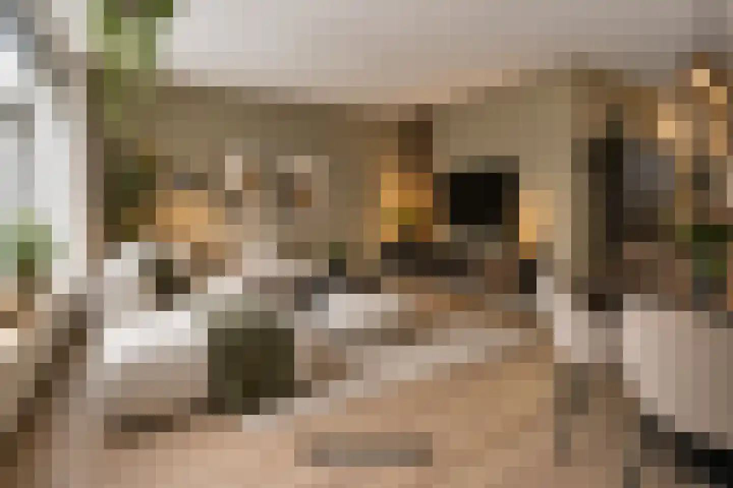 Zonnebloemstraat 31 Oss thumbnail 4