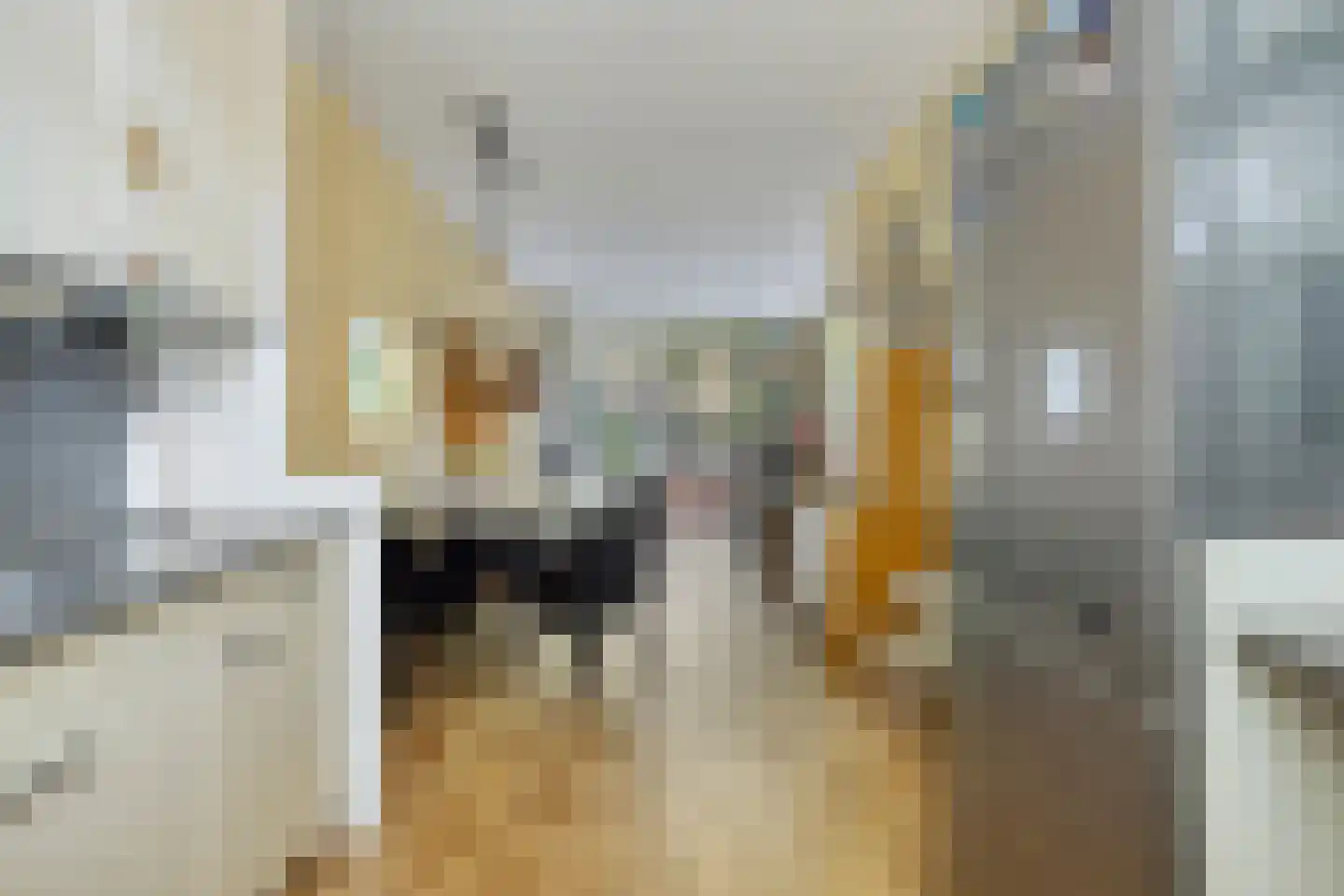 Zonnebloemstraat 31 Oss thumbnail 9