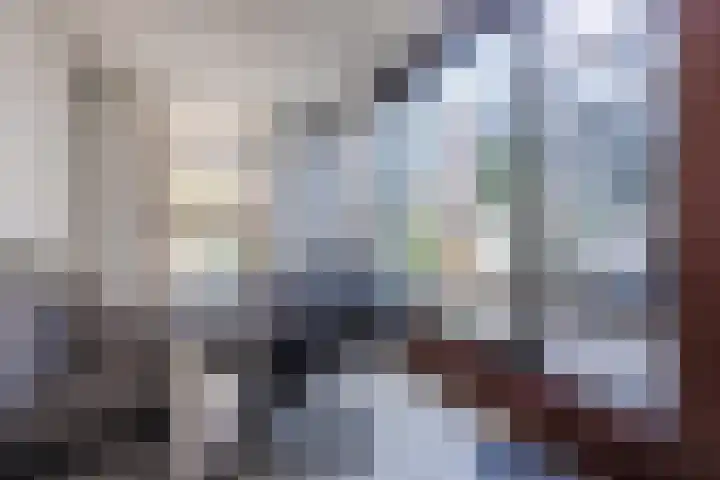 Zonnebloemstraat 32 Papendrecht thumbnail 10