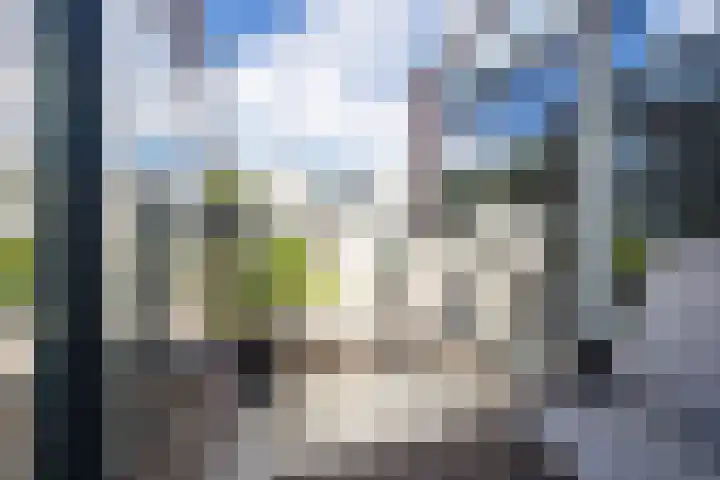 Zonnebloemstraat 32 Papendrecht thumbnail 12