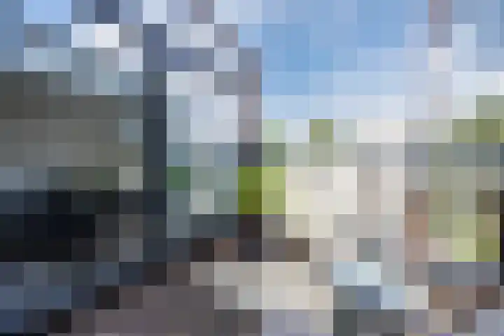 Zonnebloemstraat 32 Papendrecht thumbnail 14