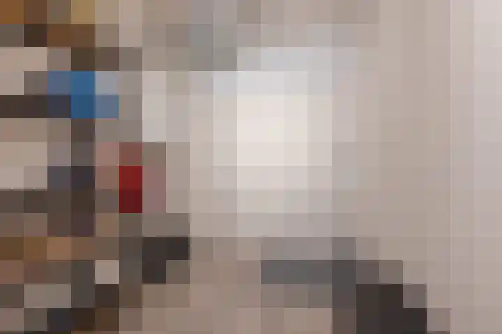 Zonnebloemstraat 32 Papendrecht thumbnail 22