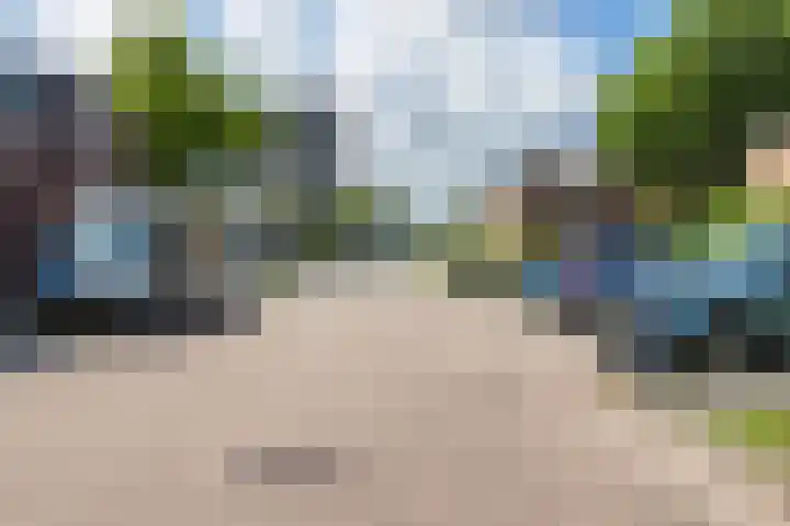Zonnebloemstraat 32 Papendrecht thumbnail 23