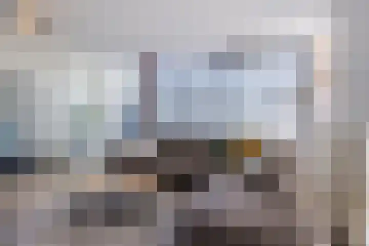 Zonnebloemstraat 32 Papendrecht thumbnail 4