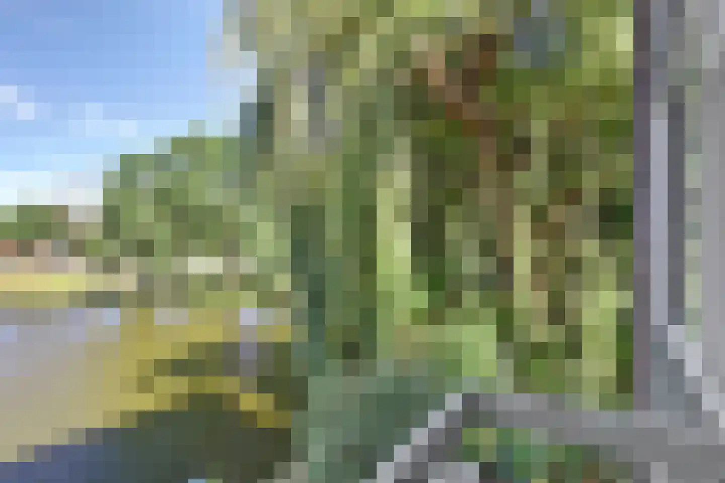 Zonnebloemstraat 32 Zwijndrecht thumbnail 9