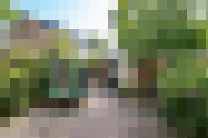 Zonnebloemstraat 33 Nieuwegein thumbnail 31
