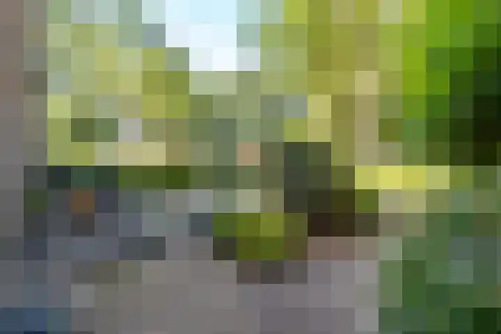 Zonnebloemstraat 33 Nieuwegein thumbnail 34