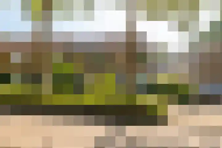 Zonnebloemstraat 33 Nieuwegein thumbnail 35