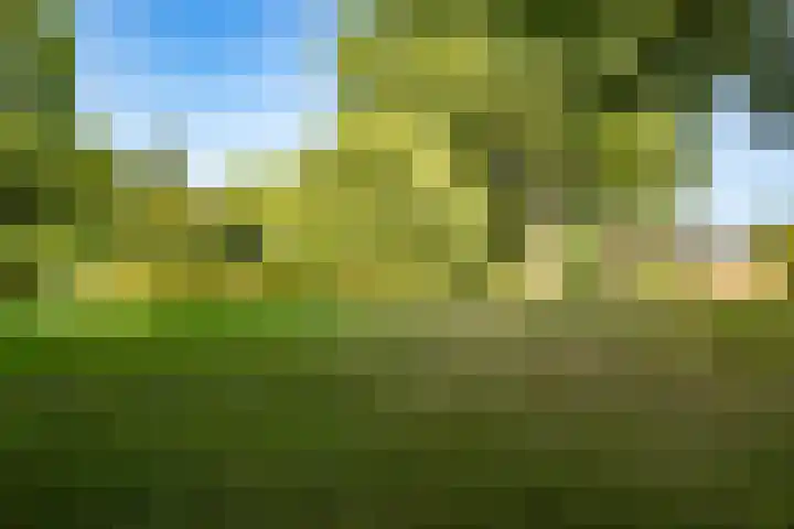 Zonnebloemstraat 33 Nieuwegein thumbnail 37