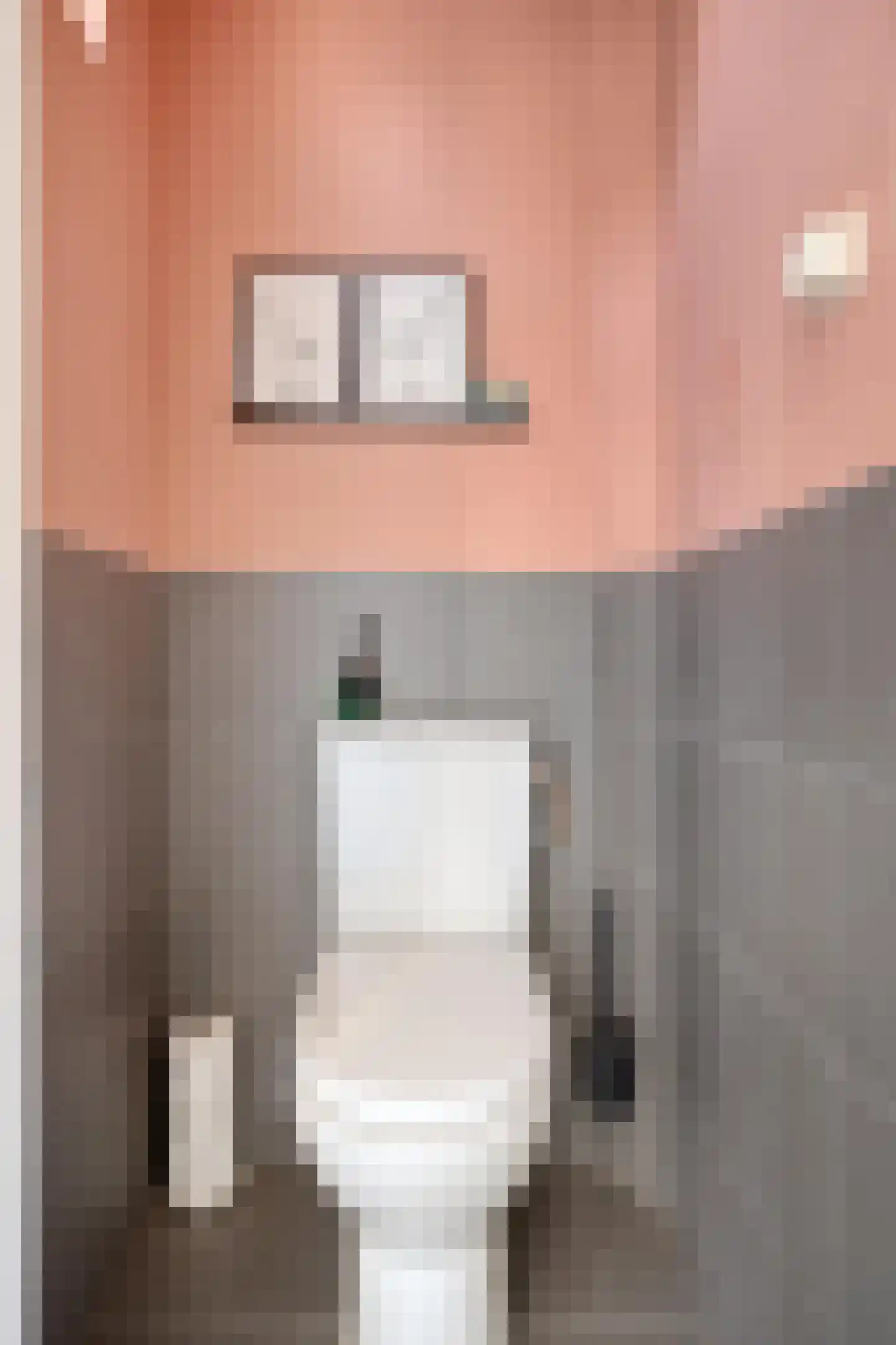 Zonnebloemstraat 33 Steenbergen thumbnail 20