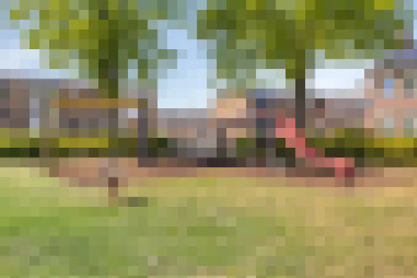 Zonnebloemstraat 33 Steenbergen thumbnail 39
