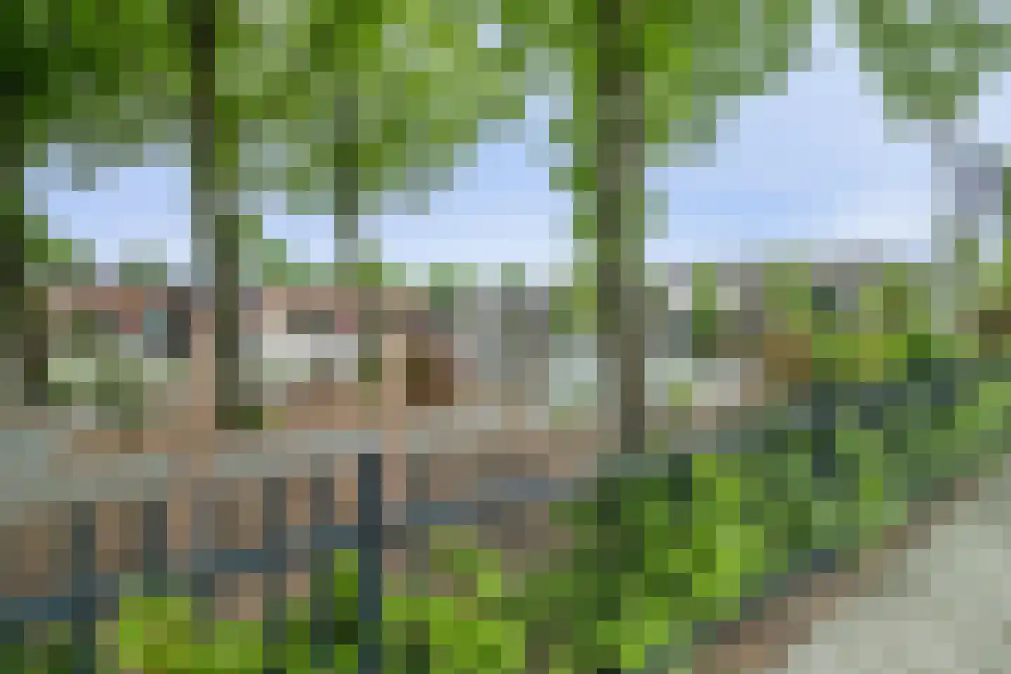 Zonnebloemstraat 33 Steenbergen thumbnail 41