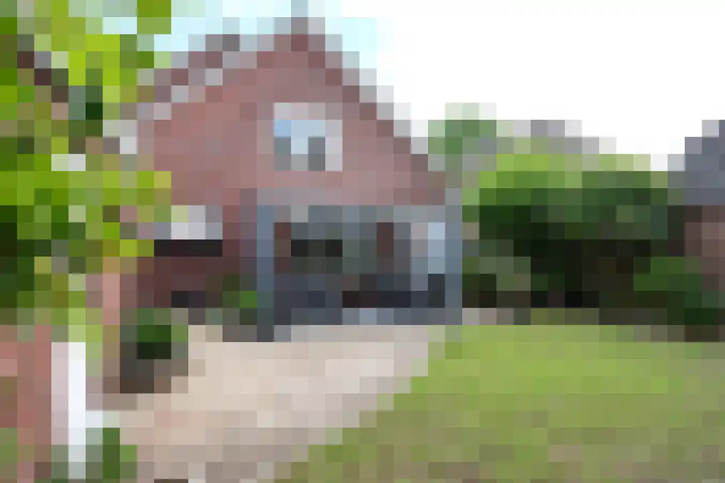 Zonnebloemstraat 35 Groesbeek thumbnail 11