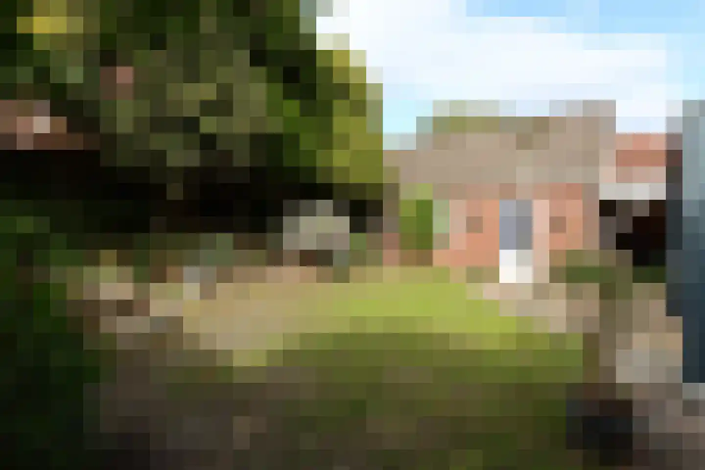 Zonnebloemstraat 35 Groesbeek thumbnail 9