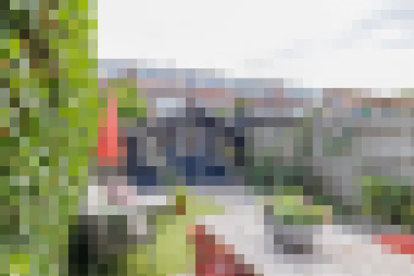 Zonnebloemstraat 35 Haarlem thumbnail 19