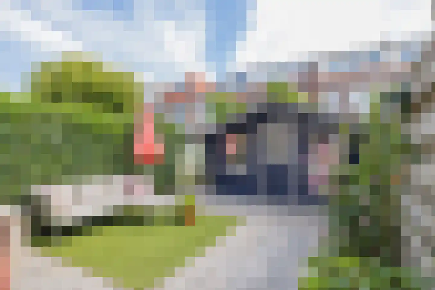 Zonnebloemstraat 35 Haarlem thumbnail 20