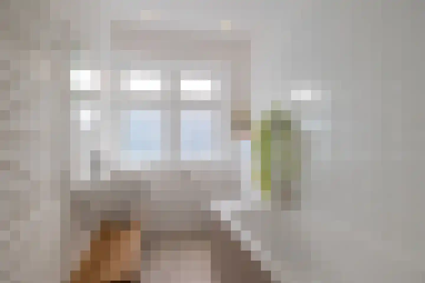 Zonnebloemstraat 35 Haarlem thumbnail 27