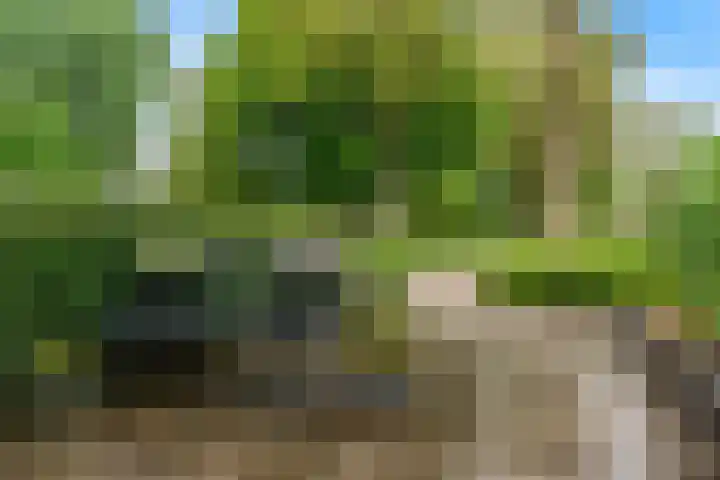 Zonnebloemstraat 35 Nieuwegein thumbnail 35