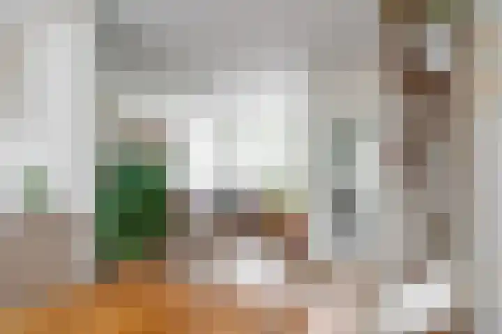 Zonnebloemstraat 35 Nieuwegein thumbnail 8