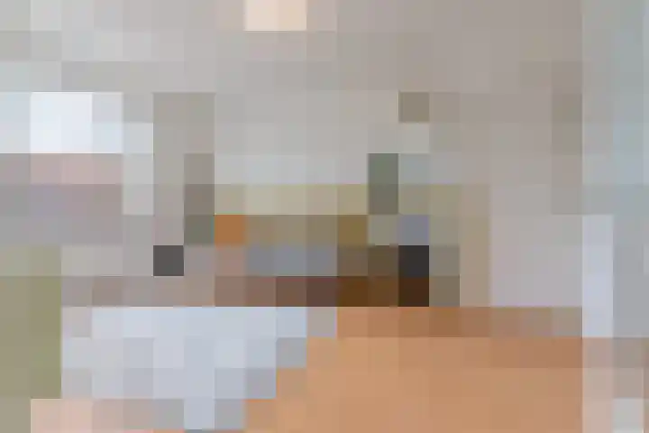 Zonnebloemstraat 36 Nijmegen thumbnail 7
